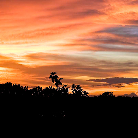 AMAZONAS 43 rio mosaico galeria_MG_2032.jpg